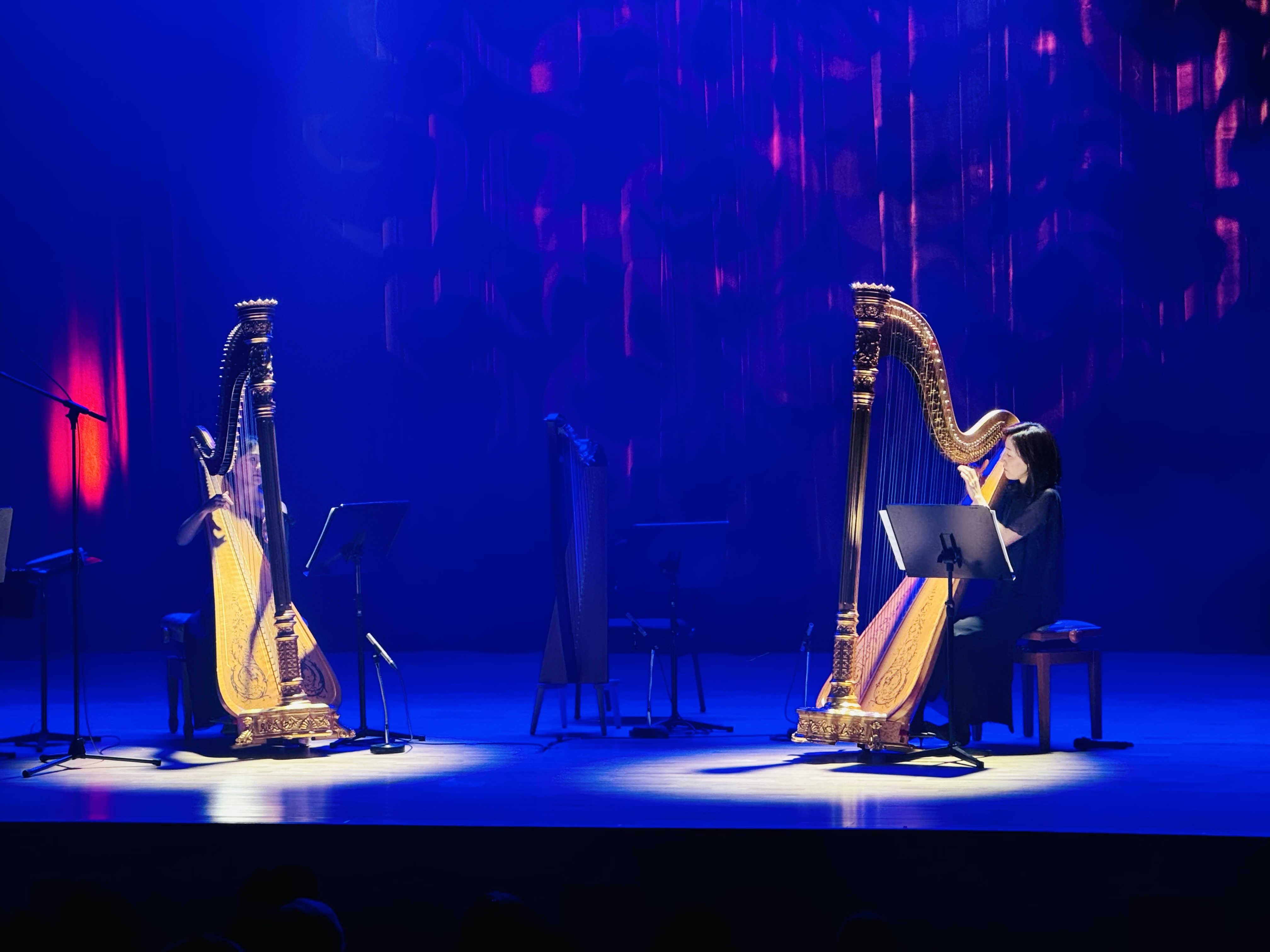 앙상블 더 하프와 함께하는 <피크닉 콘서트>