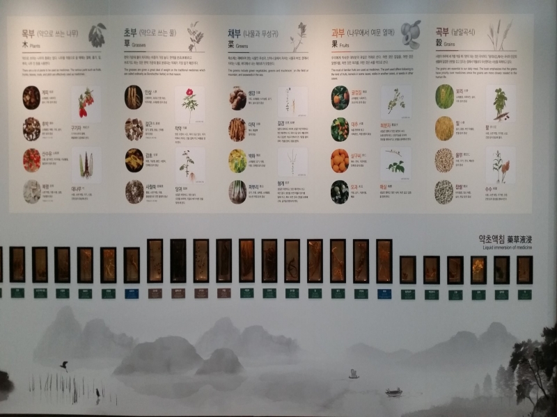 약초약재실