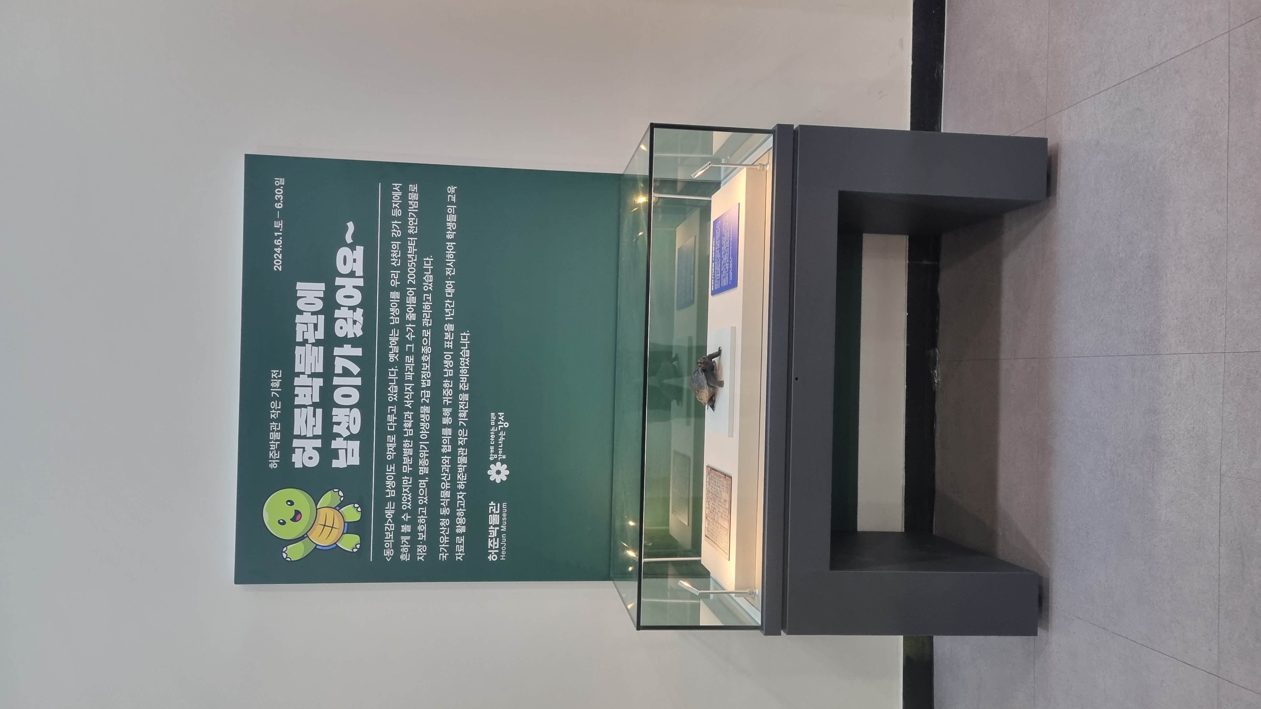 남생이 전시 모습