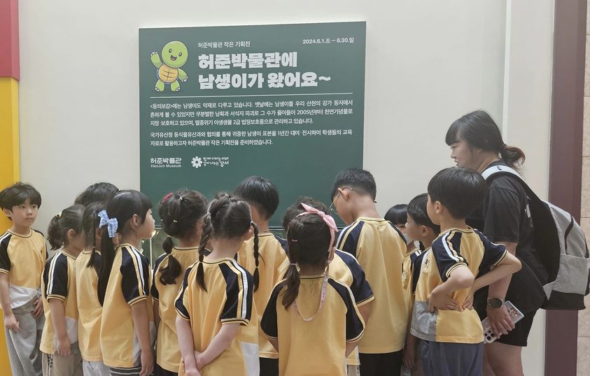 남생이 단체관람 모습